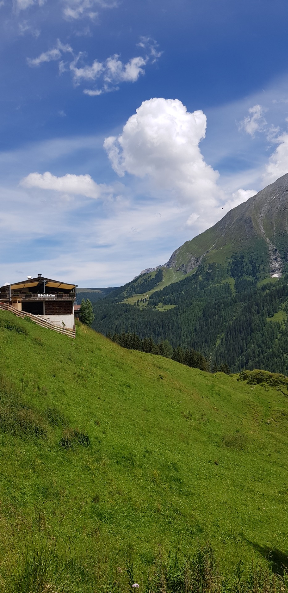 Bichlalm Hintertux